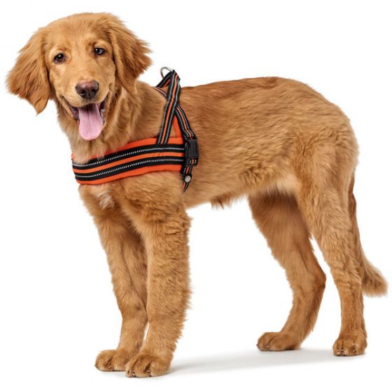 Hunter Dog Meldal Dog Harness Black Medium