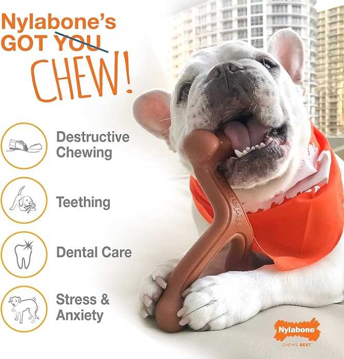 Nylabone  Big Chew Turkey Leg - Turkey & Sweet Potato