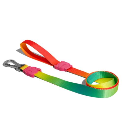 Zee.Dog Citrus Leash Extra Small (Pack of 2)