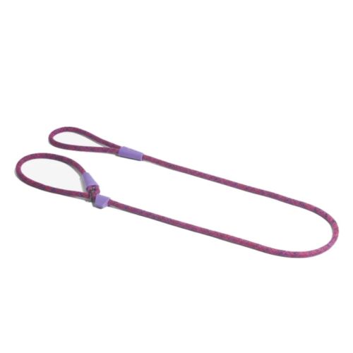Zee.Dog Cosmo Slip On Leash (Pack of 2)