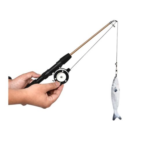 Freedog Fishing Rod Interactive Cat Toy