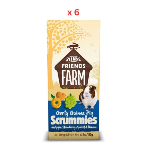 Tiny Friends Farm Gerty Guinea Pig Scrummies Small Animal Treats 120g Pack Of 6