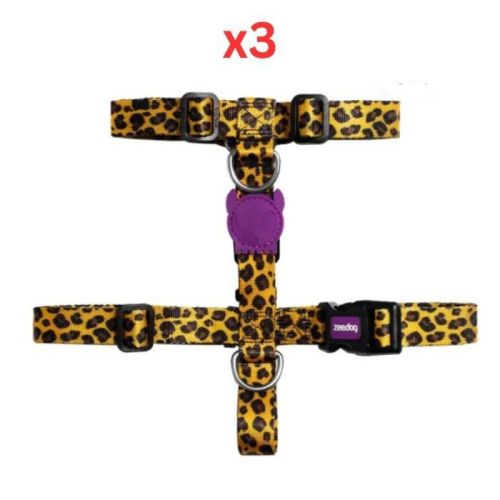Zee Dog Honey H-Harness Large (Pack Of 3)
