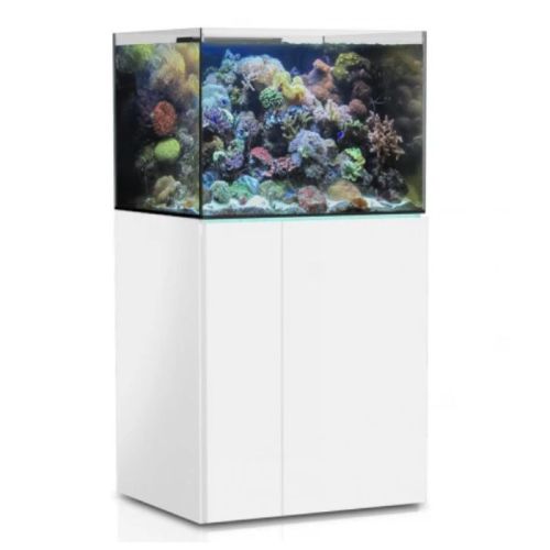 Aqua Medic Armatus 250 Aquarium 75X50X55cm