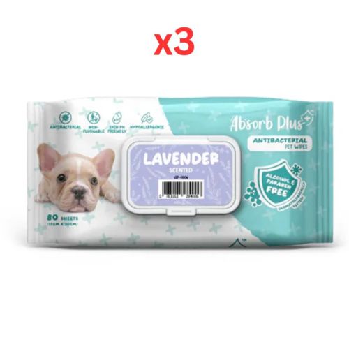 Absorb Plus AntiBacterial Pet Wipes Lavender Scented 80pcs (Pack of 3)