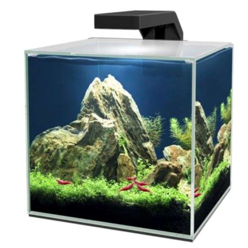 Ciano Cube 10 Led Aquarium 22X22X26Cm 