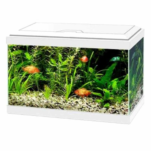 Ciano Aqua 20 Aquarium with LED Light - White 40X20X26cm