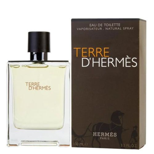 Hermes Terre D'Hermes Men Eau De Toilette 100Ml