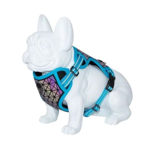 Freedog Boreal Reflective Harness for Dogs - Capri-Blue - Large