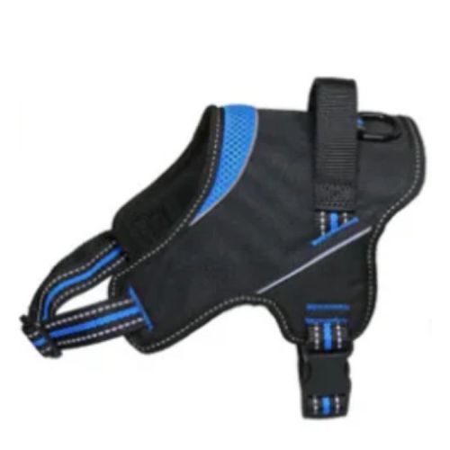 Freedog Strong and Durable Harness for Dogs - Blue XL