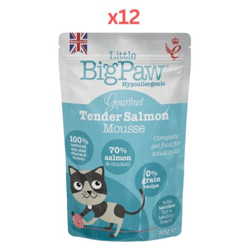 Little Big Paw Gourmet Atlantic Salmon Mousse Wet Cat Food 85g Pack Of 12