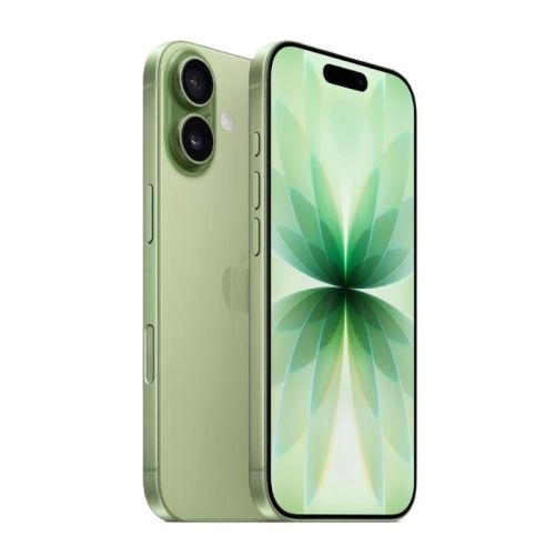 Apple iPhone 17 (UAE Dual eSim), 256GB, 8GB, 6.3 Inch, Sage (Apple Warranty)