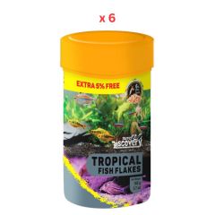 Taiyo Pluss Discovery Tropical Flakes -105Gm Pack Of 6