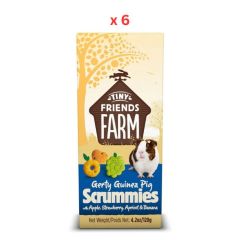 Tiny Friends Farm Gerty Guinea Pig Scrummies Small Animal Treats 120g Pack Of 6