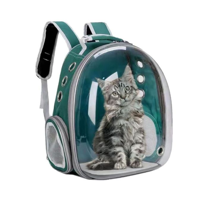 Cozy Paws Transparent Breathable Pet Carrier Bag Back Pack Black 31X25X42Cm
