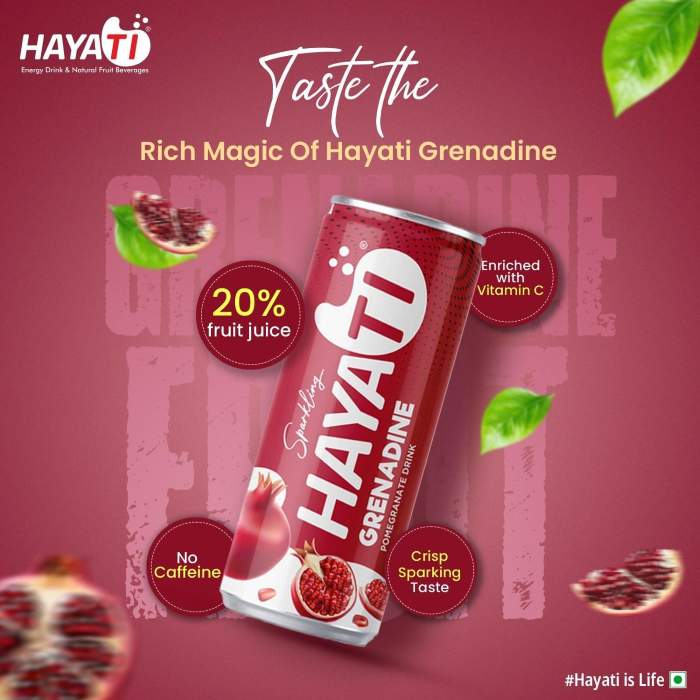 Hayati Grenadine Sparkling Pomegranate Fruit Can Juice Drink 250ml Pack Of 24