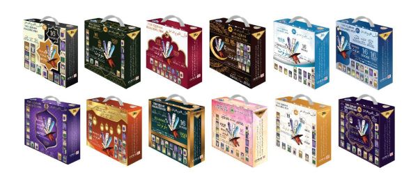 Dar ul Qalam Quran Reading Pen with 4GB Memory, Bluetooth and 16 Books - Medium