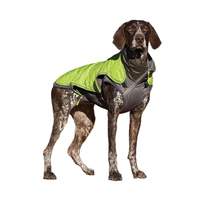 Petstages Telluride 2-In-1 Coat Green MD