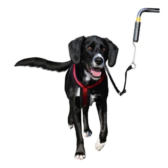 Trixie Biker Set For Large Dogs - Black S-M