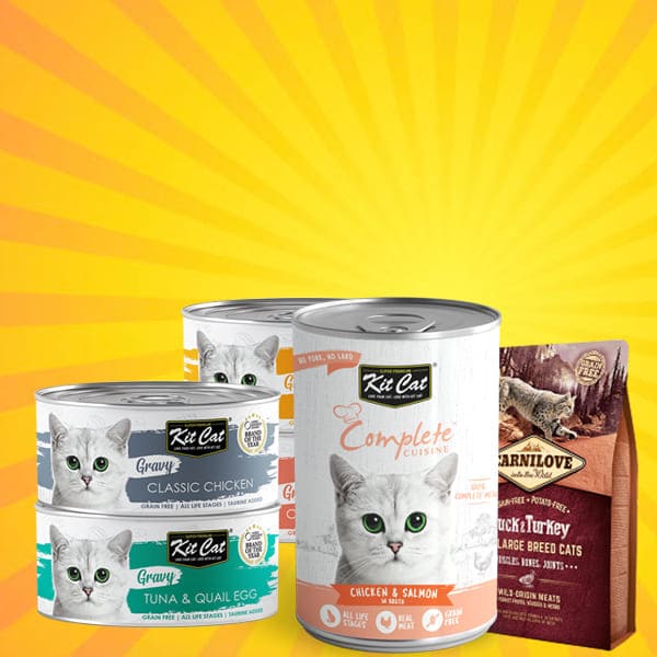 cat food
