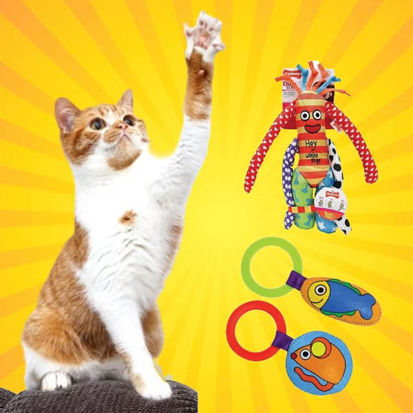 cat toys