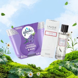 Home Fragrances