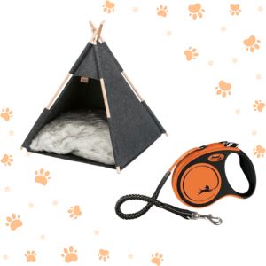 Pet Accessories