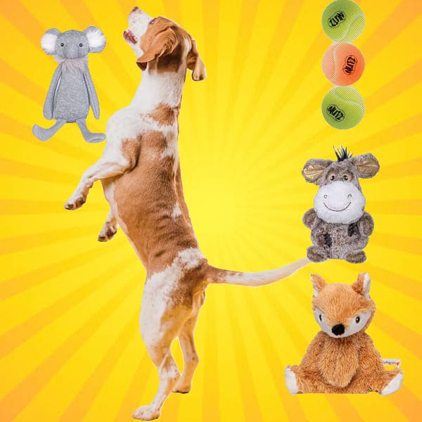 dog toys